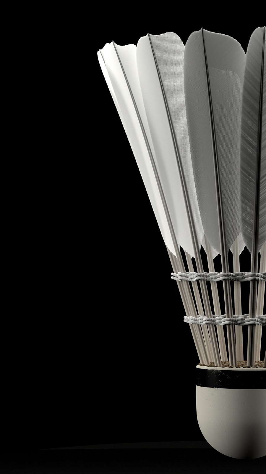 27赛季合 27赛季合